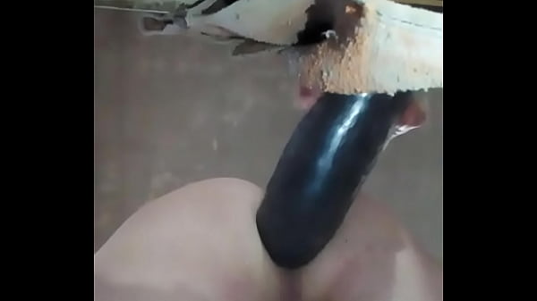 Juguete en mi cola…