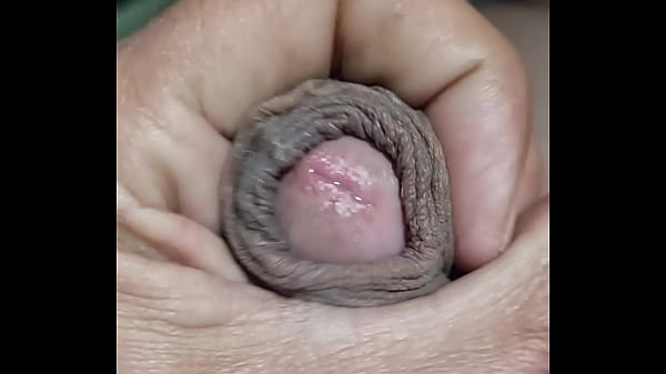 Semen leche verga pequeña