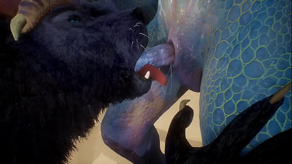 Wolf and Lizard have sex on the beach – Wildlife