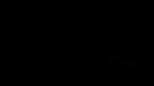 Dick sucking gay masseur bareback bangs