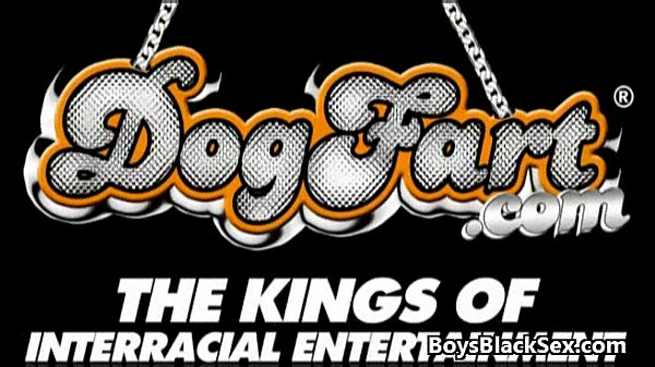 Gay Black Bareback Dick Sucking And Fucking Video 13