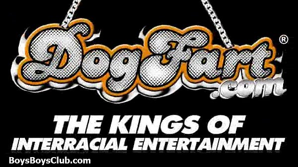 Muscled black gay boys humiliate white twinks hardcore 11