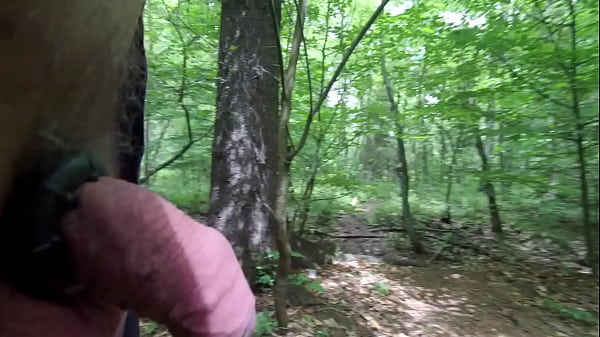 Voyeurs in the woods