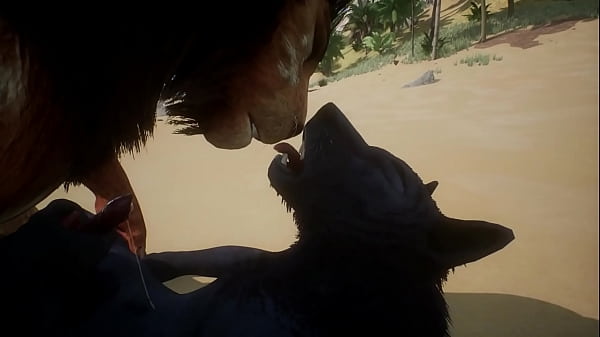 Wolf and Lion have sex on the beach – Wildlife